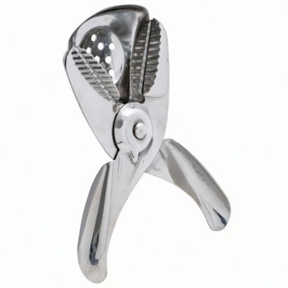 Picture of Adcraft Lemon/Lime Squeezer, Stainless Steel